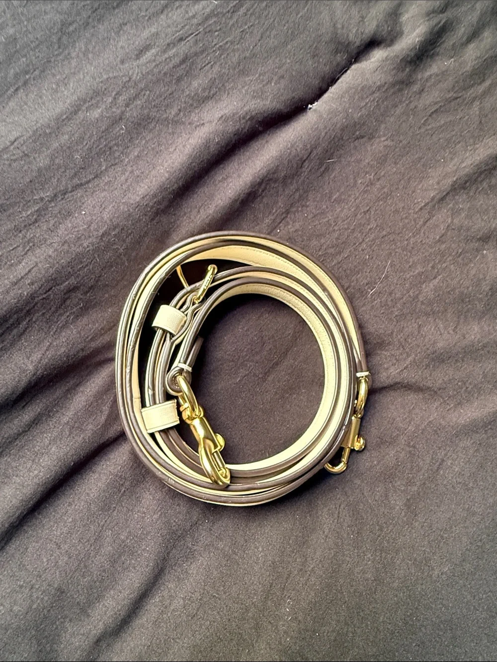 Coach Leather Crossbody Strap with Gold Hardware - Cream
